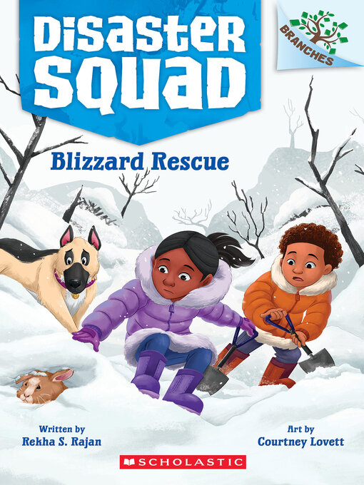 Cover image for Blizzard Rescue